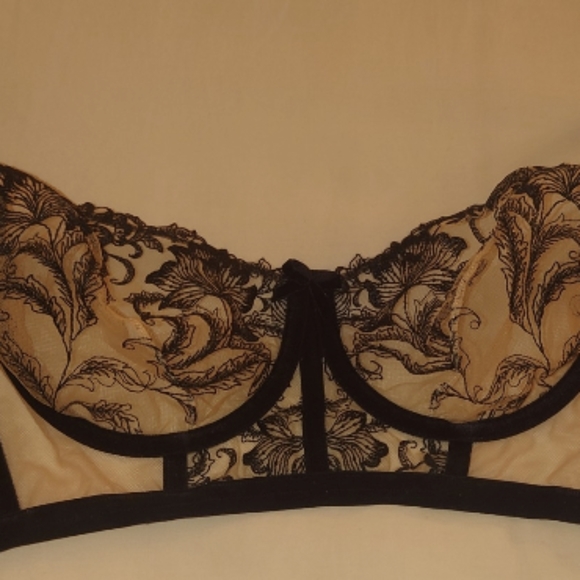 NWT Black DITA VON TEESE Nocturnelle Longline Bra 34dd Sheer Lace Balconette Hot - Picture 9 of 9